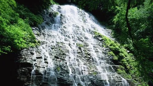 绿色电子精密